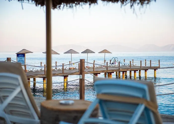 Akbulut & Güzelçamlı