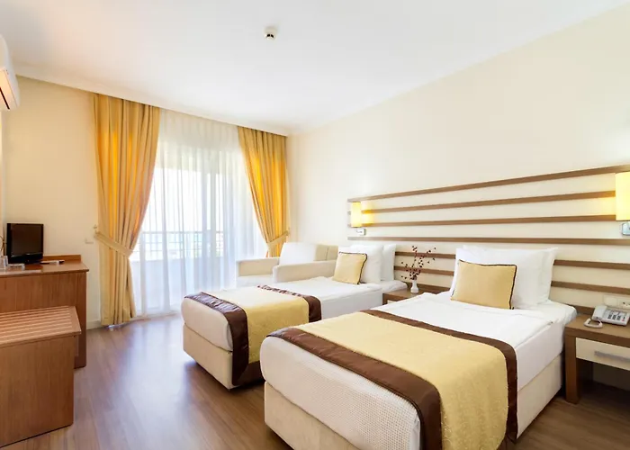 Akbulut & Guzelcamlı